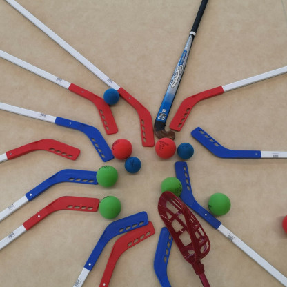 Découverte avec le Blagnac Hockey Club